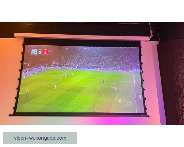 雨燕免费足球直播平台打造高清流畅赛事观赛新体验覆盖全球热门联赛